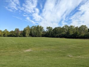 Soccer Field image 1